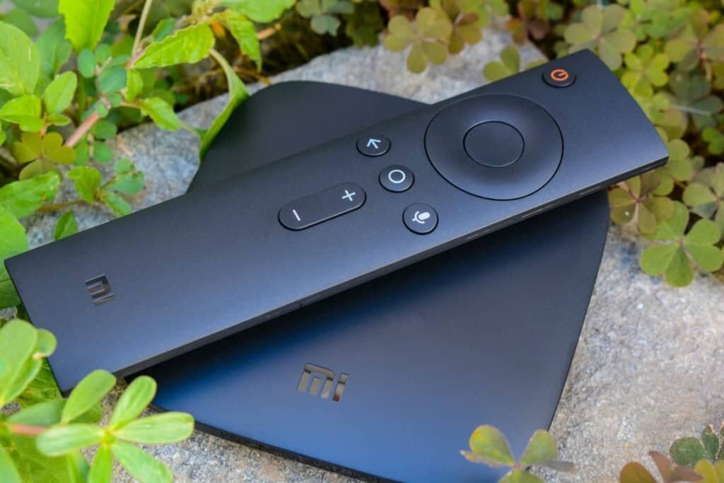 Controle remoto de smart TV preto com botões, sobre uma caixa de som, rodeado de plantas verdes.